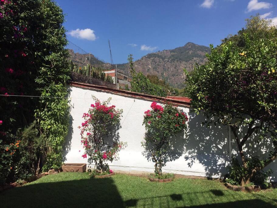 Acogedora Villa Con Alberca Climatizada En El Centro De Tepoztlán Exterior foto